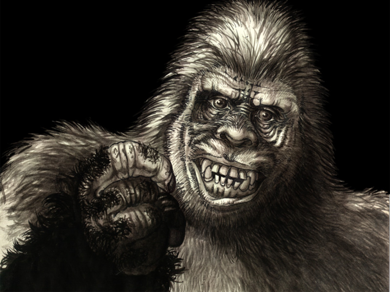 bigfoot research organization